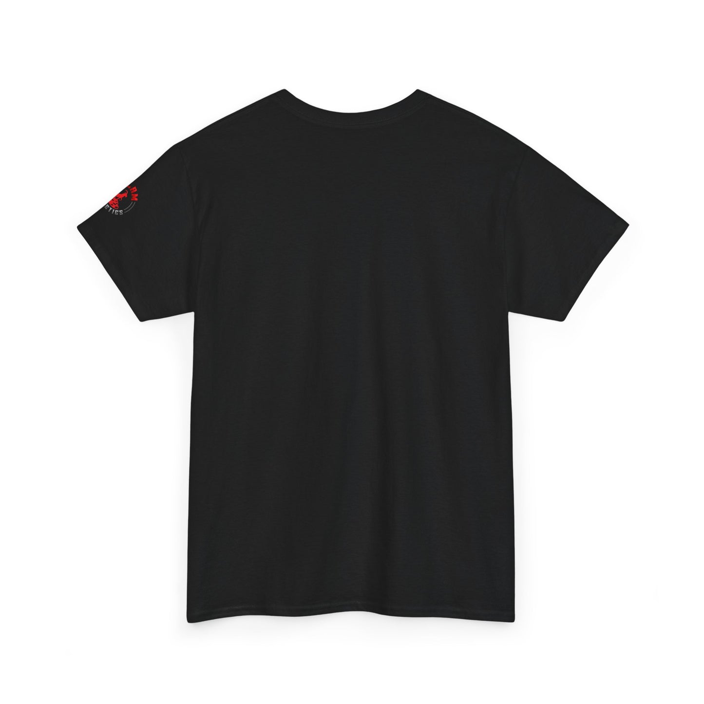 Inspirational Jesus T-Shirt - More Than a Conqueror