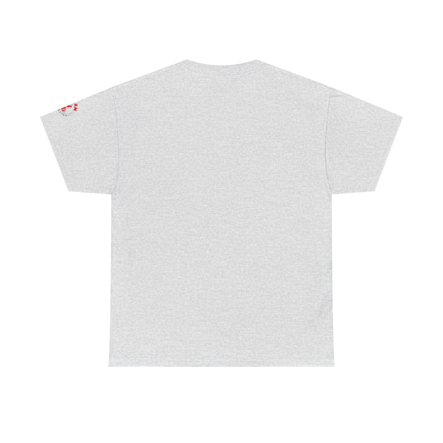 Inspirational Jesus T-Shirt - More Than a Conqueror