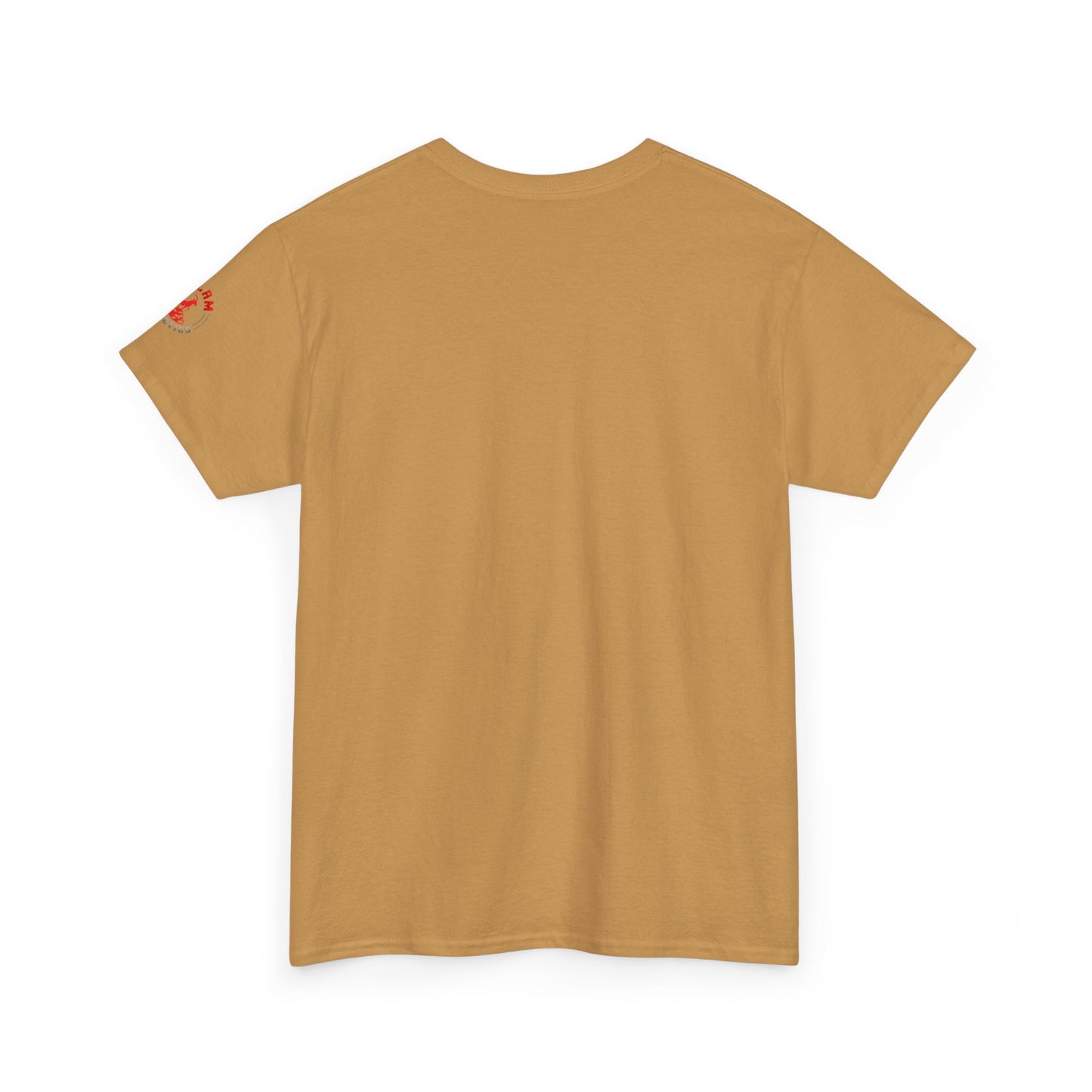 Inspirational Jesus T-Shirt - More Than a Conqueror