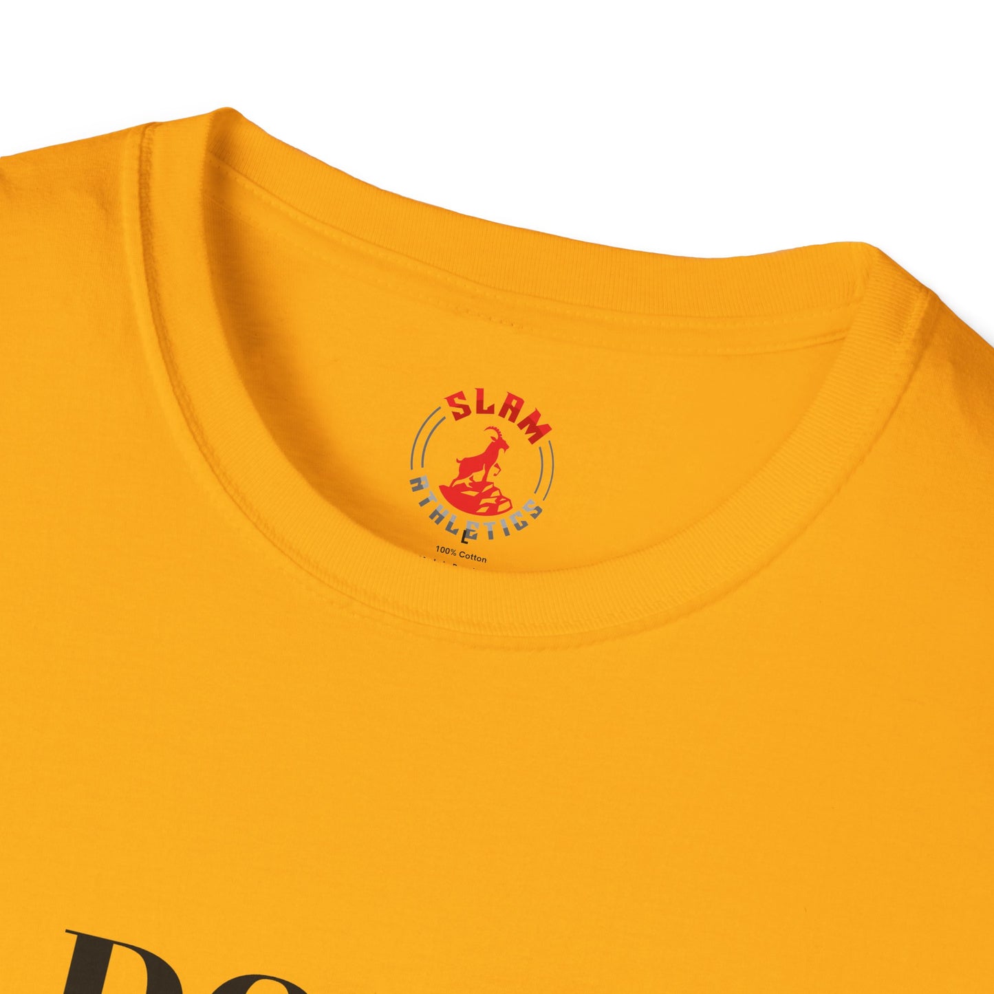 DOGE USA Wrestling Tee – The Ultimate "Audit" Statement