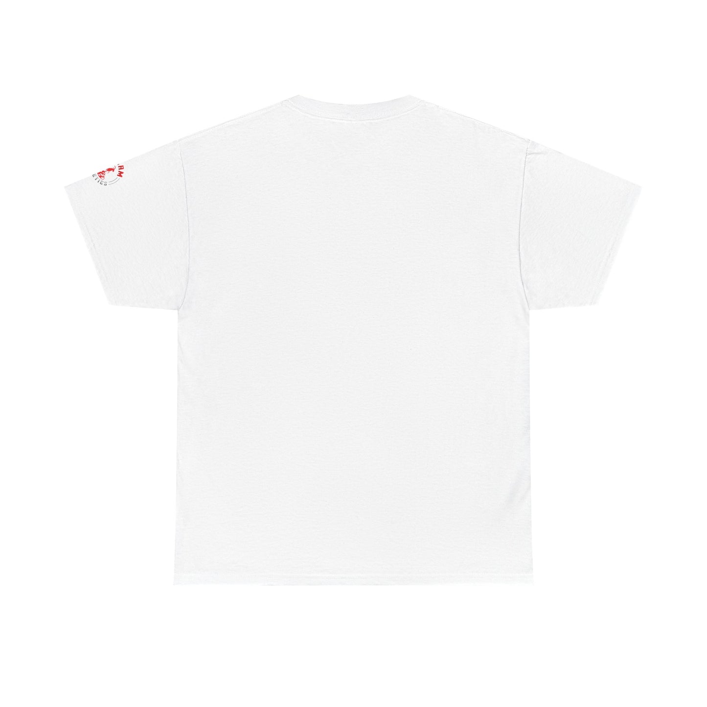 Inspirational Jesus T-Shirt - More Than a Conqueror