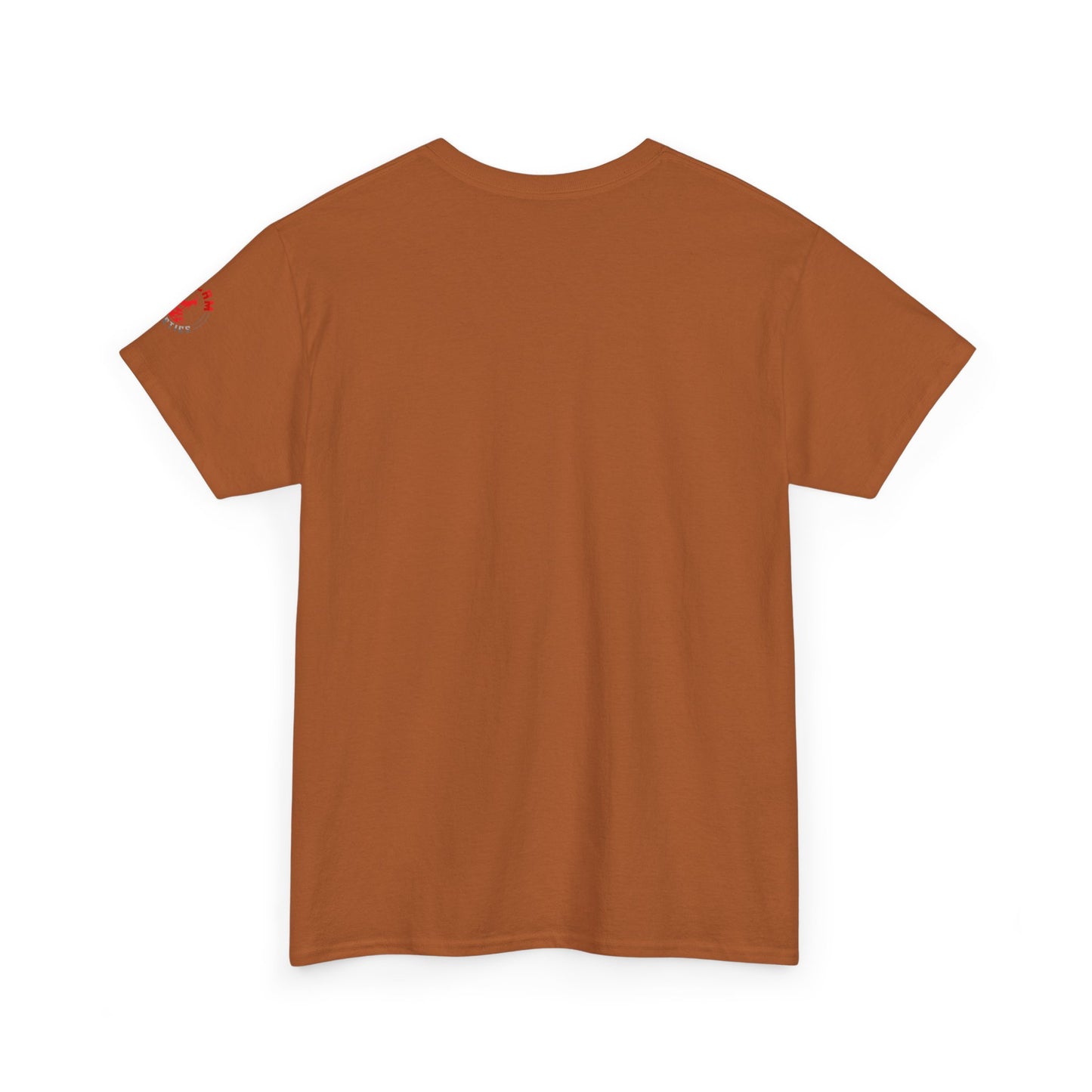 Inspirational Jesus T-Shirt - More Than a Conqueror