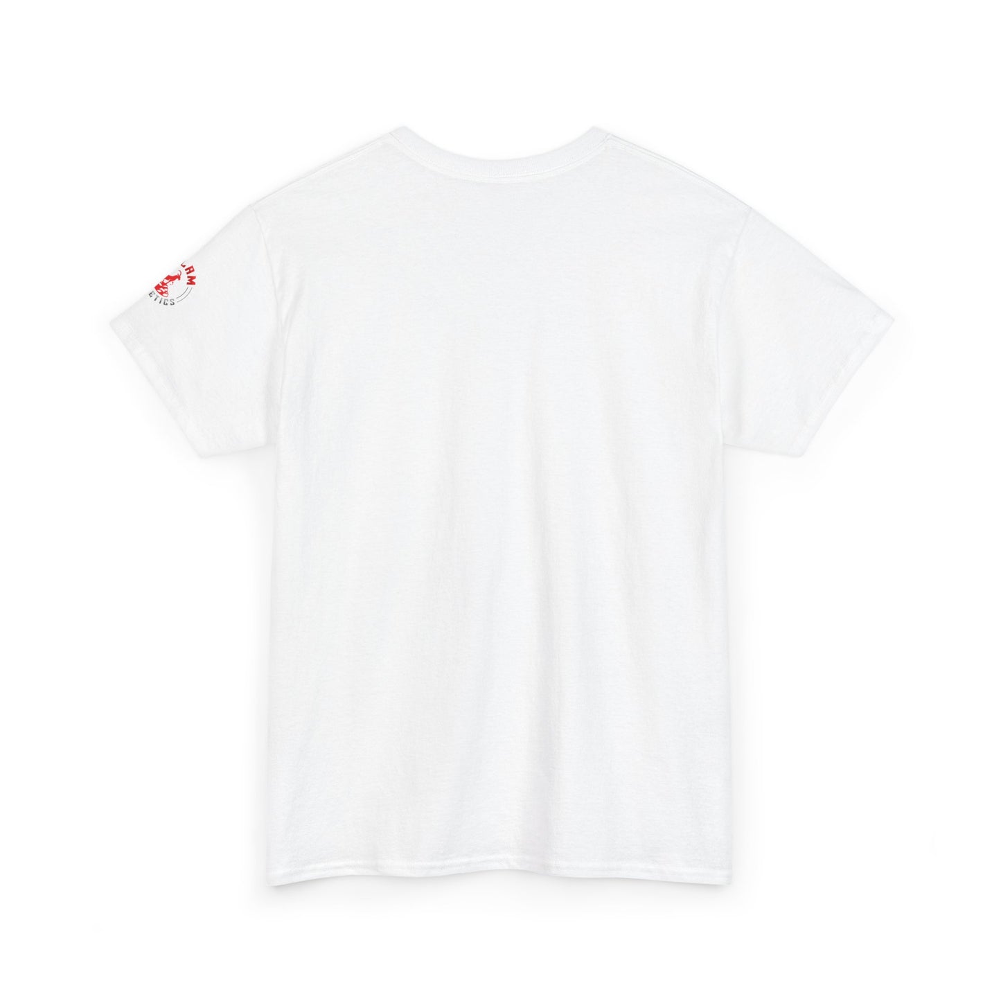 Inspirational Jesus T-Shirt - More Than a Conqueror
