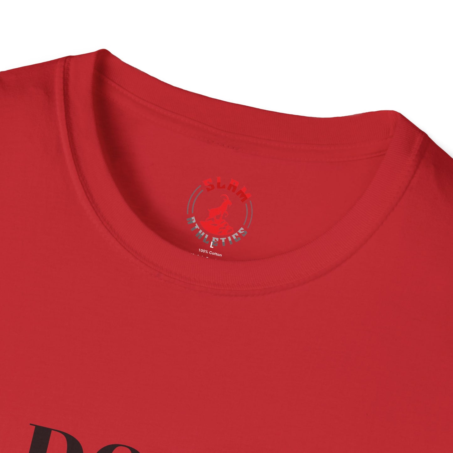 DOGE USA Wrestling Tee – The Ultimate "Audit" Statement