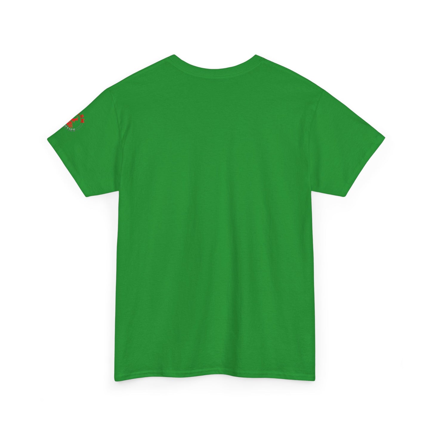 Inspirational Jesus T-Shirt - More Than a Conqueror